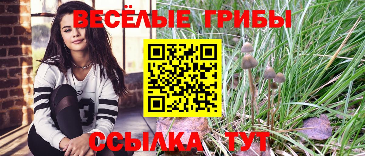 Галлюциногенные грибы мухоморы Туапсе