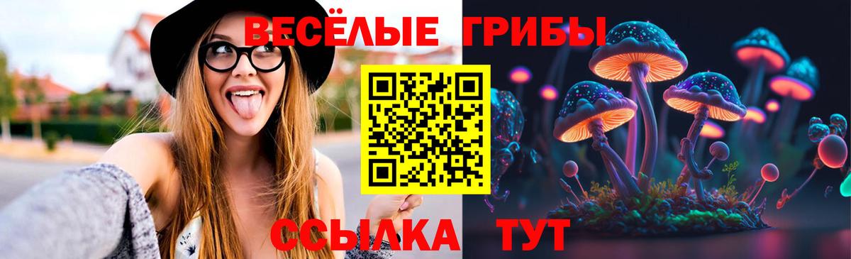 Галлюциногенные грибы GOLDEN TEACHER  Вход с VPN  Туапсе  хочу   Галлюциногенные грибы MAGIC MUSHROOMS 